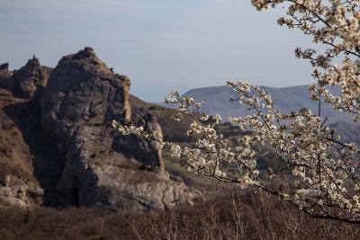 Прикрепленное изображение: IMG_7750.jpg